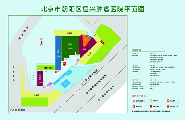 色色视频大肉棒插美女屁屁里北京市朝阳区桓兴肿瘤医院平面图